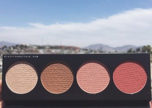 Paleta de rubores la girl beauty brick spice